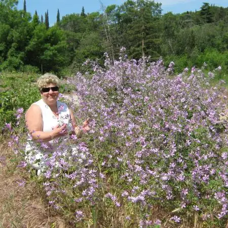 Tamara, 58Хайфа, Израиль 
