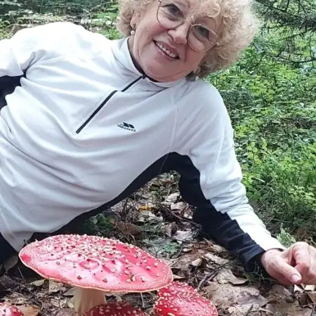 EVEGNIA, 66Реховот, Израиль