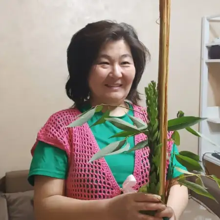 Adassa, 54Петах Тиква, Израиль