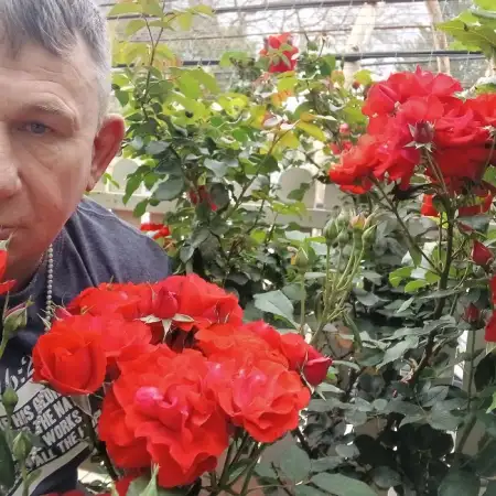 Samuel, 48Нетания, Израиль 