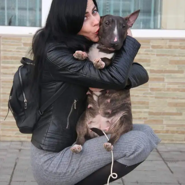 Хана, 43