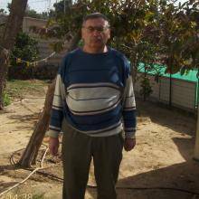 alexandr,  63 года Беэр Шева  ищет для знакомства  